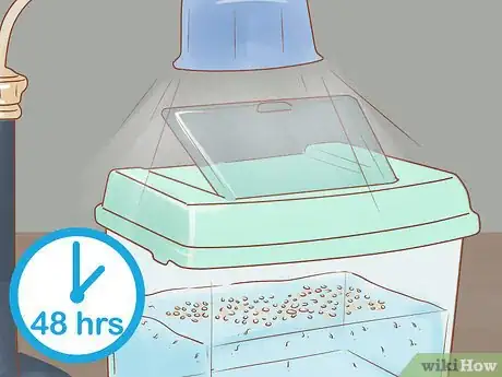 Image titled Hatch Triops Step 7