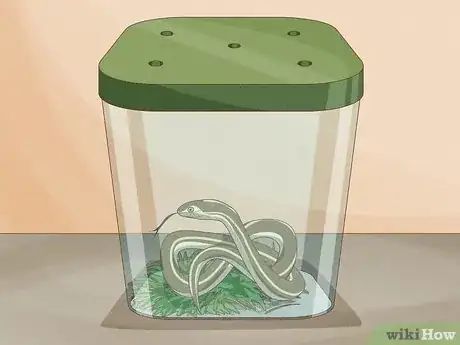 Image titled Catch a Garter Snake Step 16