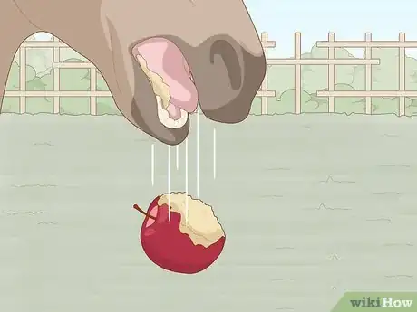 Image titled Know if Your Horse Is Sick Step 12