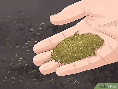 Image titled Take Care of Your Lawn Step 25