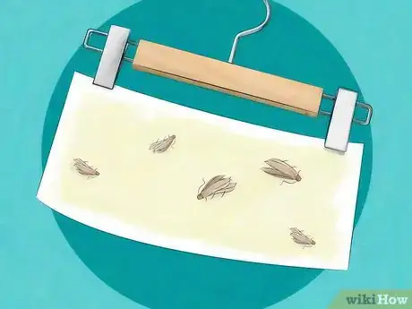 Image titled Get Rid of Moths Step 2