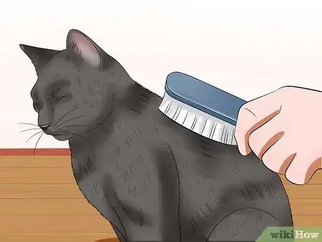 Image titled Bathe Your Cat With a Damp Towel Step 5