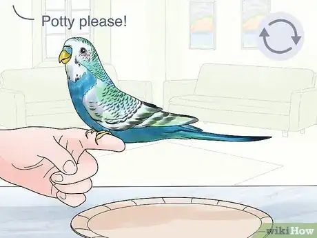 Image titled Potty Train a Parakeet Step 9