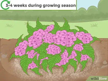 Image titled Change the Color of Hydrangeas Step 12