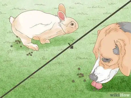 Image titled Get Dogs to Not Eat Rabbit Poop Step 1