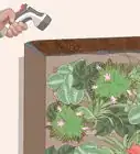 Make a Living Wall