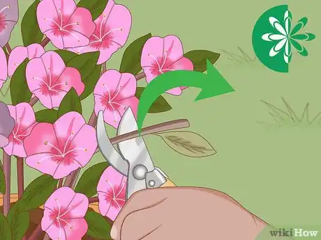 Image titled Plant Azaleas Step 9