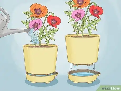 Image titled Use Self Watering Pots Step 4