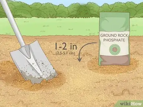 Image titled Add Phosphorus to Soil Step 4