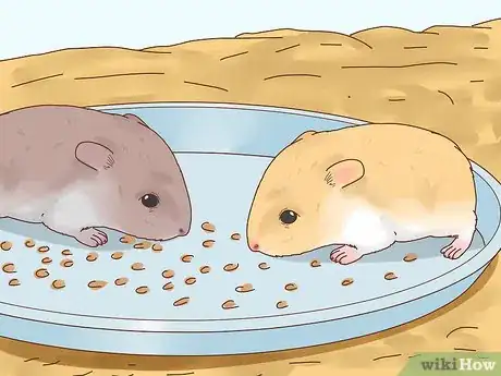 Image titled Care for Hamster Babies Step 18