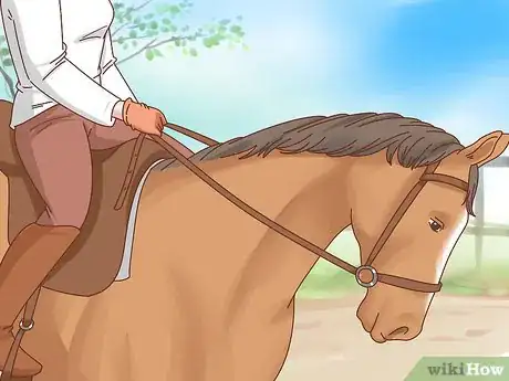 Image titled Take Care of Your Horse Step 19