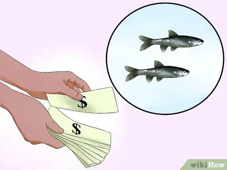 Image titled Keep Minnows Alive Step 1