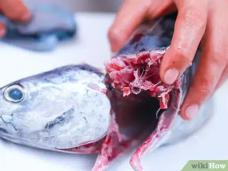 Image titled Cut Tuna Steaks Step 10