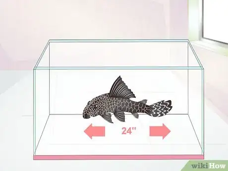 Image titled Set Up a Fish Tank for Plecostomus Catfish Step 1