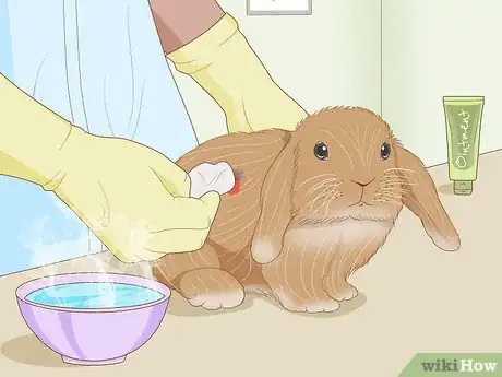 Image titled Care for an Injured Rabbit Step 7