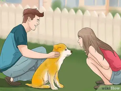 Image titled Care for an Akita Inu Dog Step 13