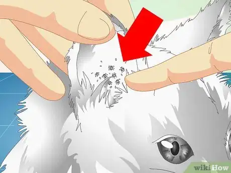 Image titled Check Cats for Ear Mites Step 4