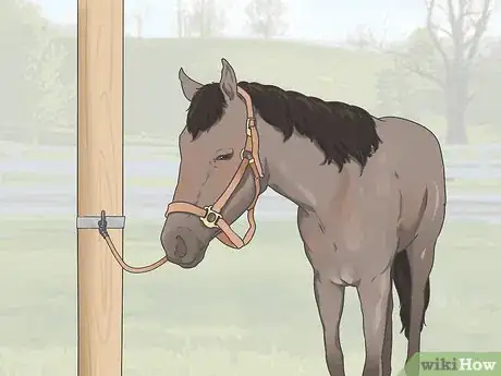 Image titled Measure for Stirrup Length Step 1