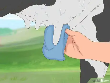 Image titled Milk a Cow Step 4