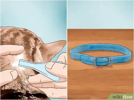 Image titled Get Rid of Fleas Step 5