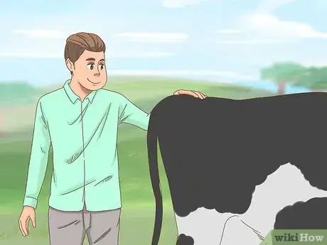 Image titled Milk a Cow Step 2