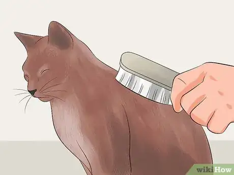 Image titled Make Your Cat's Fur Soft and Shiny Step 14