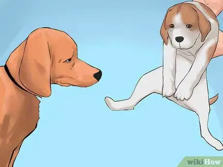 Image titled Determine if Your Old Dog Can Handle a New Puppy Step 7