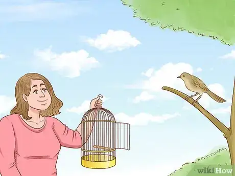 Image titled Catch a Bird Step 11