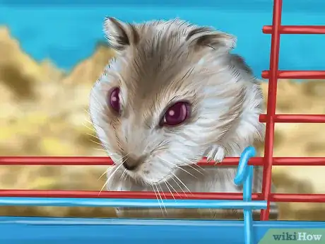 Image titled Create a Bond With Your Hamster Step 4