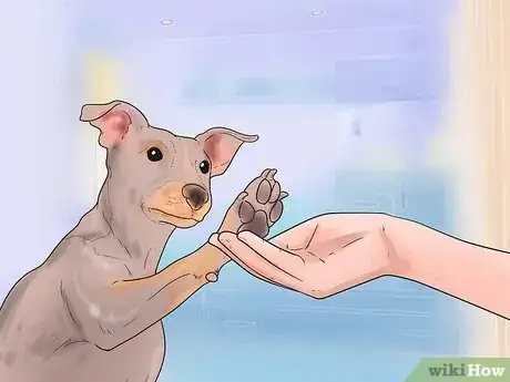 Image titled Teach Your Dog to Shake Hands Step 4