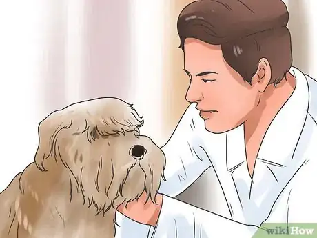 Image titled Save a Choking Dog Step 12