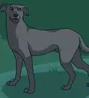 Draw a Dog