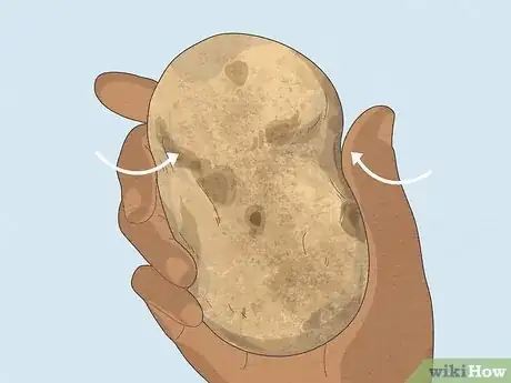 Image titled Tell if a Potato Is Bad Step 1