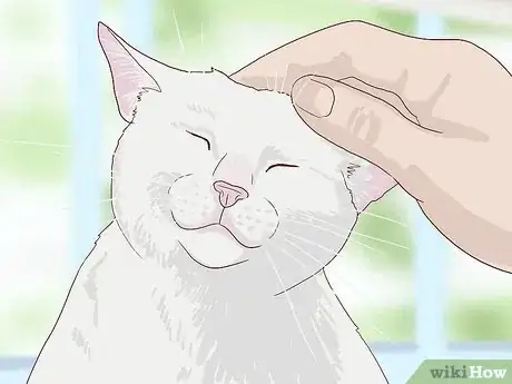 Image titled Introduce a New Cat to Other Cats Step 11