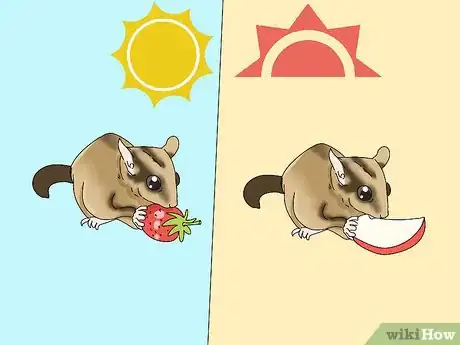 Image titled Feed a Sugar Glider Step 10