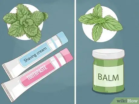 Image titled Spearmint vs Peppermint Step 3