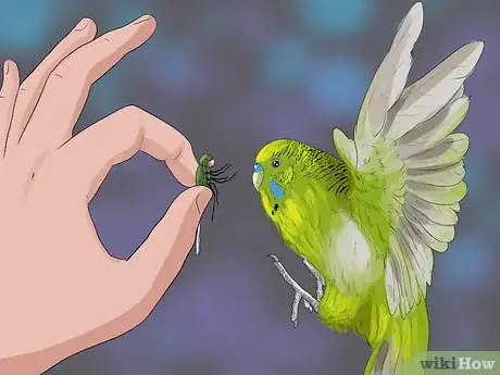 Image titled Teach a Budgie to Catch Flies Step 5