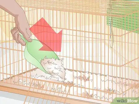 Image titled Clean up After Your Guinea Pig Step 17