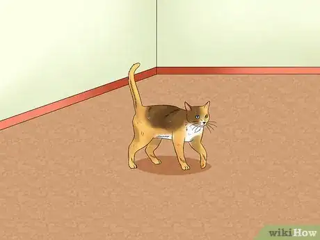 Image titled Create a Room for Your Cat Step 9