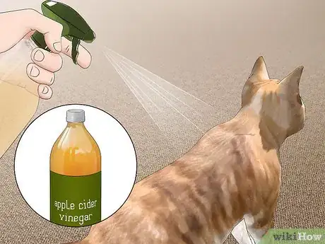 Image titled Get Rid of Fleas Step 3