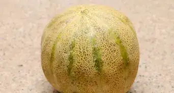 Ripen a Cantaloupe