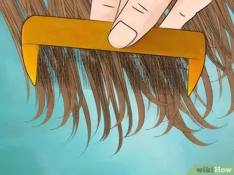 Image titled Use a Lice Comb on Dry Hair Step 2