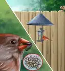 Attract Cardinals