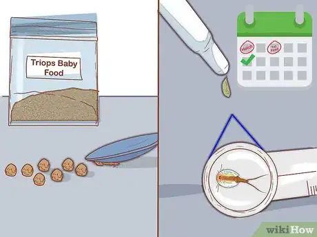 Image titled Care for Triops Step 10