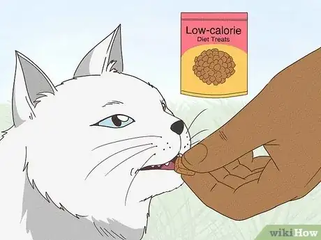 Image titled Determine if Your Cat is Overweight Step 7