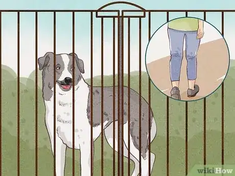 Image titled Protect Yourself from Dogs While Walking Step 13