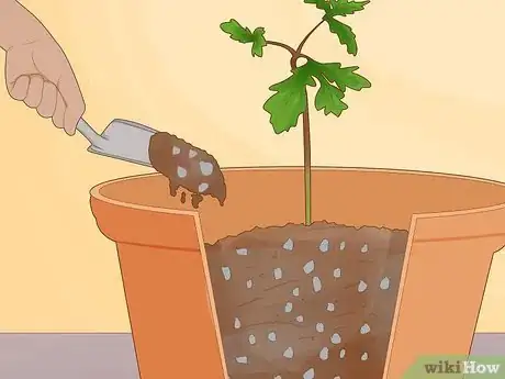 Image titled Grow Truffles Indoors Step 15