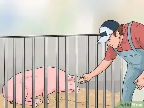 Image titled Care for a Pig With Pneumonia Step 4