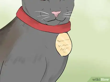 Image titled Tell if Your Cat Is Blind Step 13