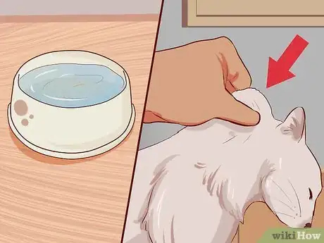 Image titled Stop Your Cat's Diarrhea Step 10